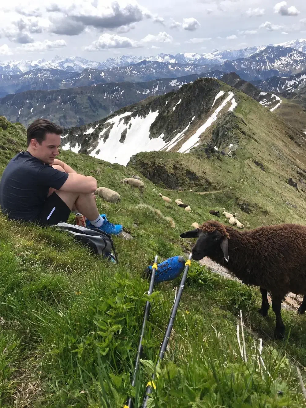 Christof Jori sitting on a mountain ridge beside grazing sheep