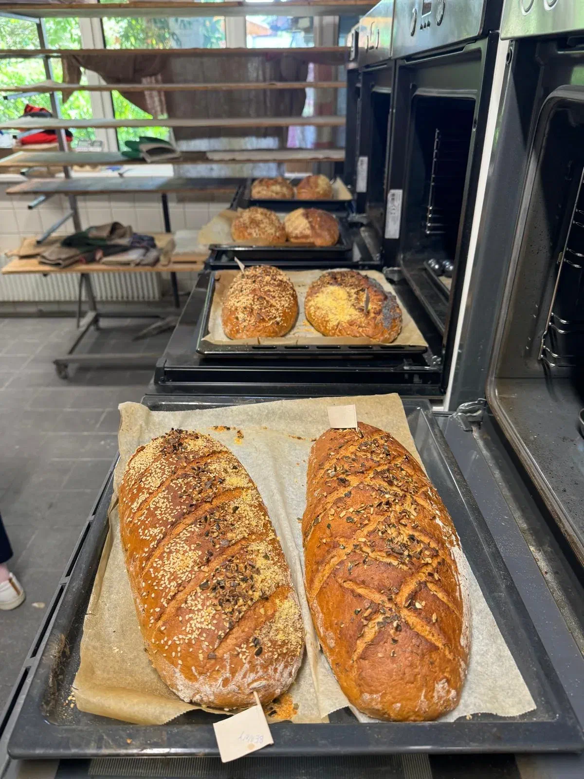 Fresh loaves of bread on trays during Kevin's bread-baking course Fresh loaves of bread on trays during Kevin's bread-baking course